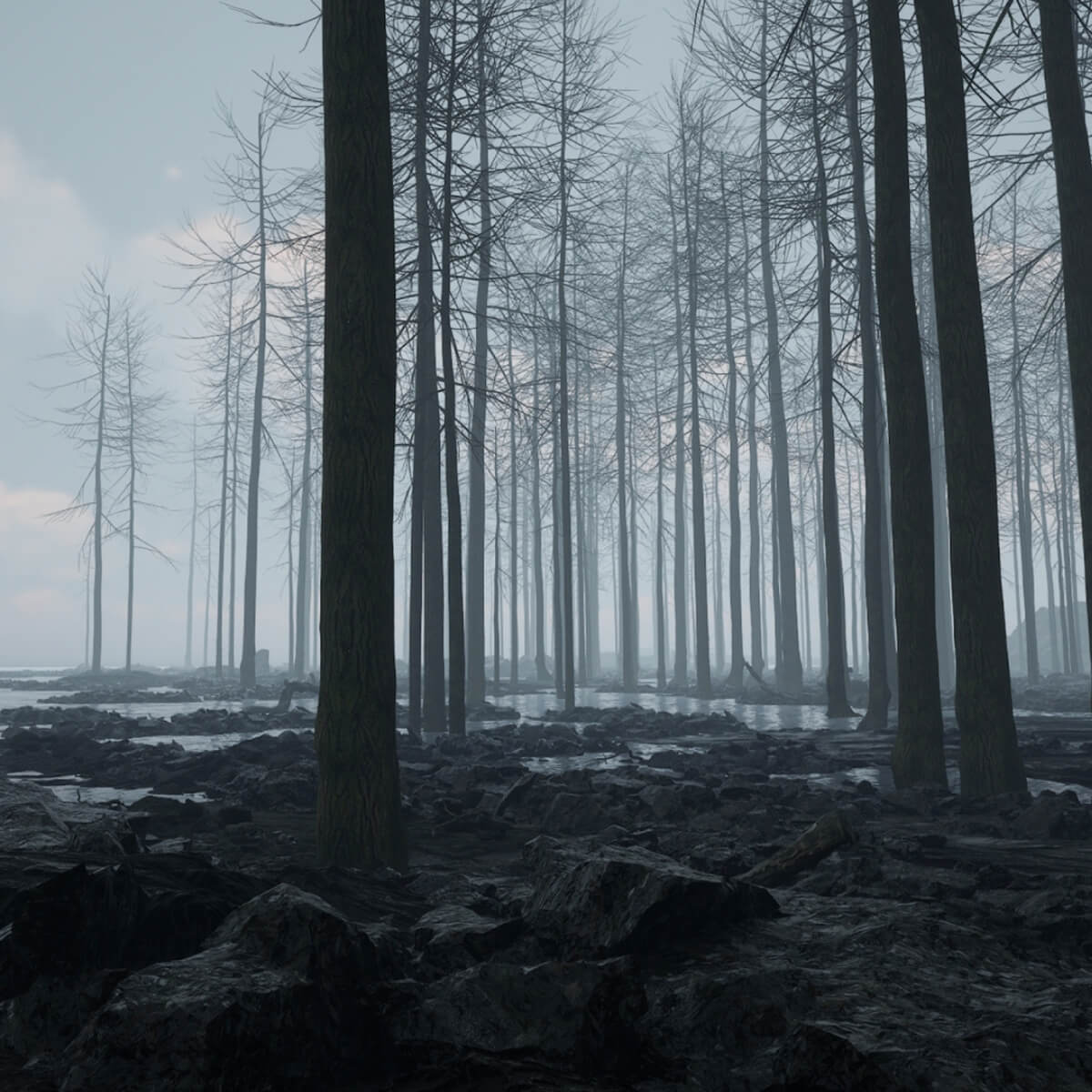 Fog Forest - Thumbnail