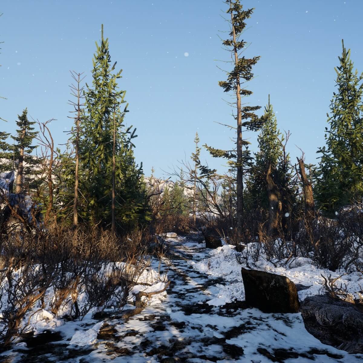 Winter Forest Environment - Thumbnail